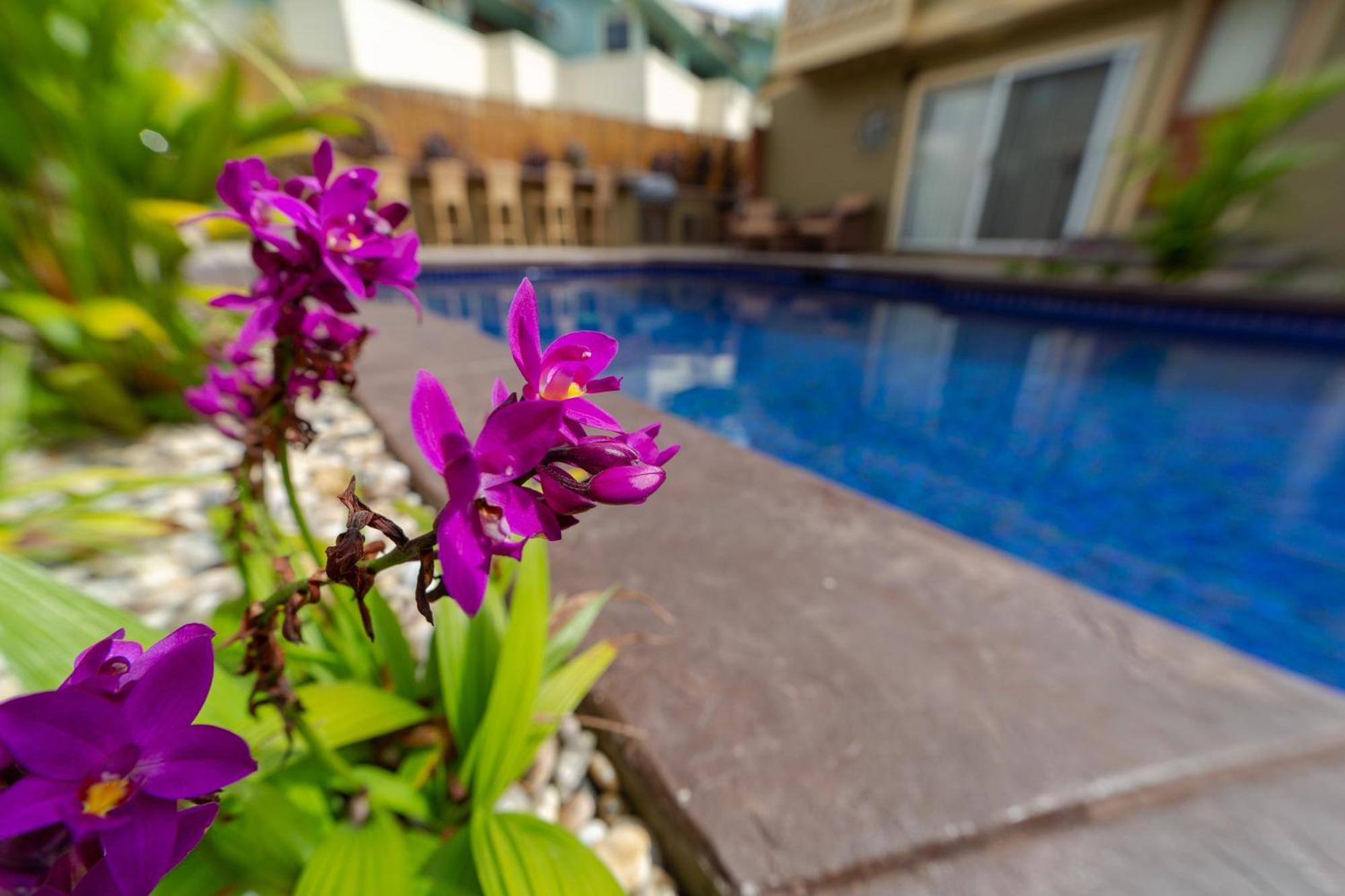 Plumeria Suite, 2-Bedrooms, Sleeps 6, Pool & Bbq, Pre-Renovation Summer Sale Kihei Esterno foto