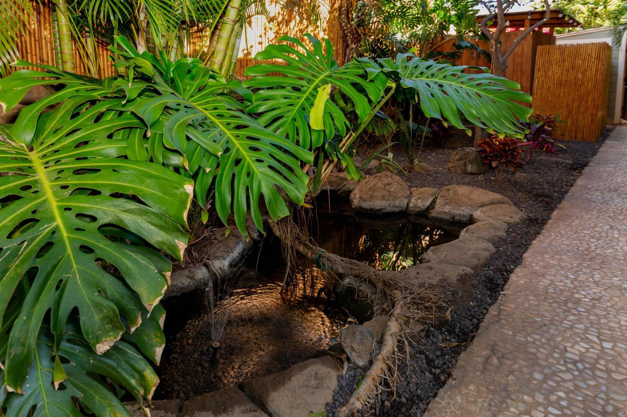 Plumeria Suite, 2-Bedrooms, Sleeps 6, Pool & Bbq, Pre-Renovation Summer Sale Kihei Esterno foto